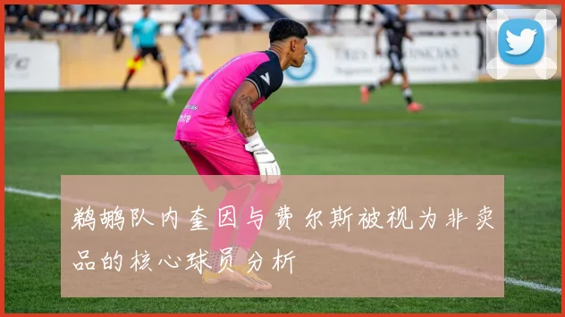 鹈鹕队内奎因与费尔斯被视为非卖品的核心球员分析